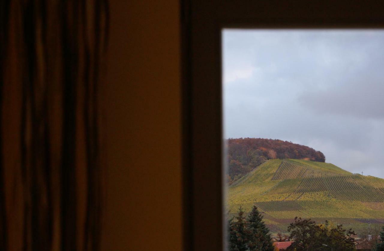 Weingut Gaestehaus Weigand Ипхофен Экстерьер фото